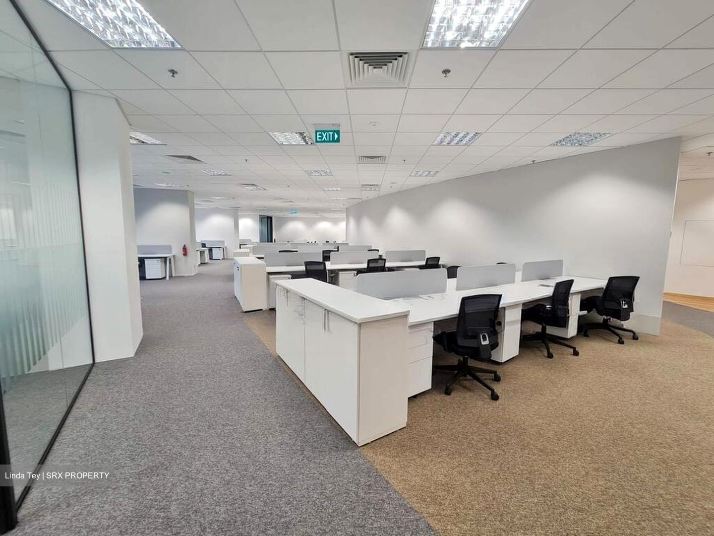 PLUS (D1), Office #566787961